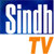 Sindh-TV-Logo